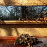 photo 2022-01-24 11-13-43