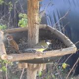 photo 2019-12-17 13-19-35