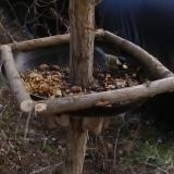 photo 2019-01-04 12-43-14