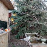 photo 2021-12-17 15-14-24