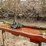 photo 2021-03-19 08-11-50