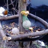 photo 2019-01-18 07-51-32