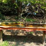 photo 2021-04-22 12-23-26