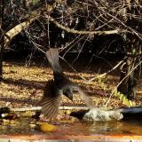 photo 2021-10-25 09-25-57 rigo