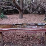 photo 2021-10-27 17-47-12