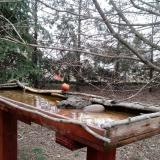 photo 2022-03-16 11-00-39