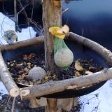 photo 2019-01-15 09-00-27