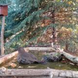 photo 2023-10-14 08-00-08