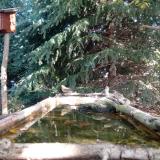 photo 2023-10-12 10-23-49