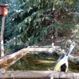 photo 2023-10-12 10-20-29