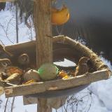 photo 2019-01-27 09-17-24