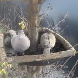 photo 2019-12-28 12-58-03