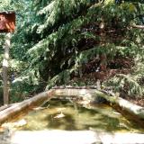 photo 2023-10-11 13-08-05