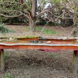 photo 2021-04-10 17-25-39