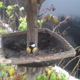 photo 2019-12-02 09-18-58