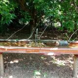 photo 2021-07-21 11-18-59