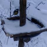 photo 2019-01-05 15-25-33