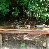 photo 2021-07-26 10-46-24