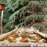 photo 2023-10-20 13-30-54