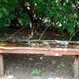 photo 2021-07-26 13-32-38