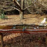 photo 2021-10-26 15-07-26