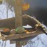 photo 2019-01-27 09-10-36