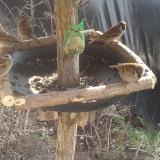 photo 2019-02-14 12-23-44