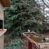 photo 2021-11-19 14-31-48