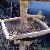 photo 2019-01-02 10-05-16