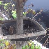 photo 2019-12-02 08-24-44