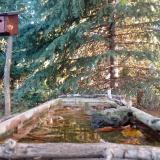 photo 2023-10-16 07-51-01