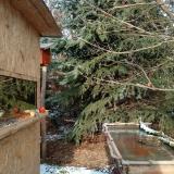 photo 2022-01-09 13-20-09