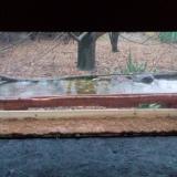 photo 2021-11-28 15-17-58