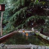 photo 2023-10-10 18-08-23