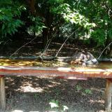 photo 2021-07-24 10-01-50