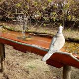 photo 2021-04-03 10-09-53