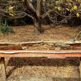 photo 2021-10-22 13-24-11