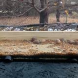 photo 2021-11-10 10-05-29