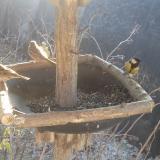 photo 2019-12-30 10-49-48