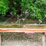 photo 2021-05-13 12-38-55