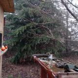 photo 2021-12-16 08-30-50