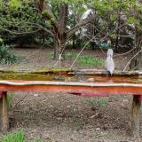 photo 2021-04-16 15-56-31