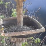 photo 2019-12-15 11-59-15