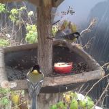 photo 2019-12-06 11-48-53