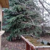 photo 2021-12-11 12-42-01