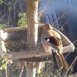 photo 2019-12-17 14-19-41