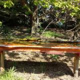 photo 2021-04-26 10-56-47 kerti rozsdafarku