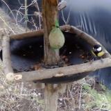 photo 2019-02-08 15-15-52