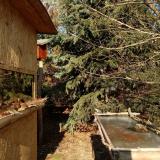 photo 2022-01-12 13-06-06