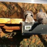 photo 2021-03-08 15-11-17